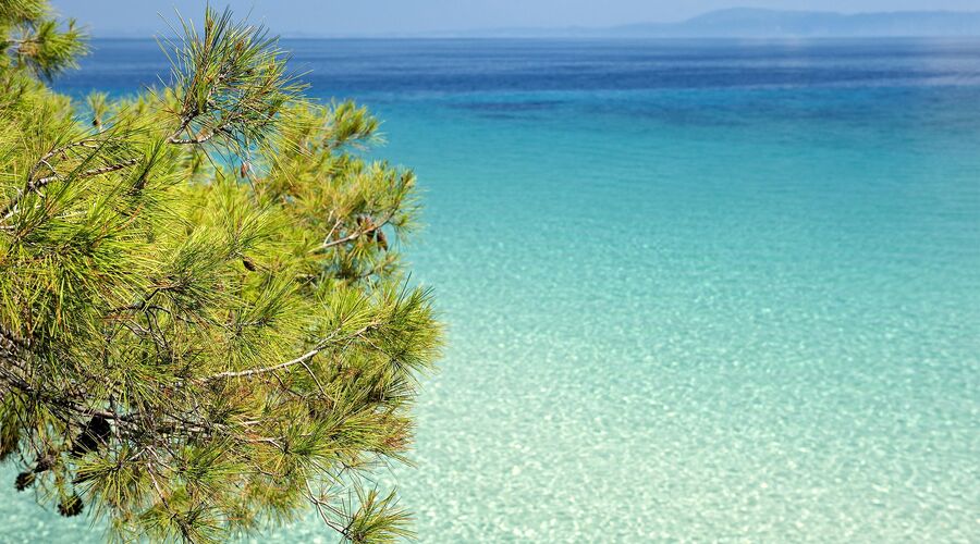 Selanik & Halkidiki & Thassos Turu